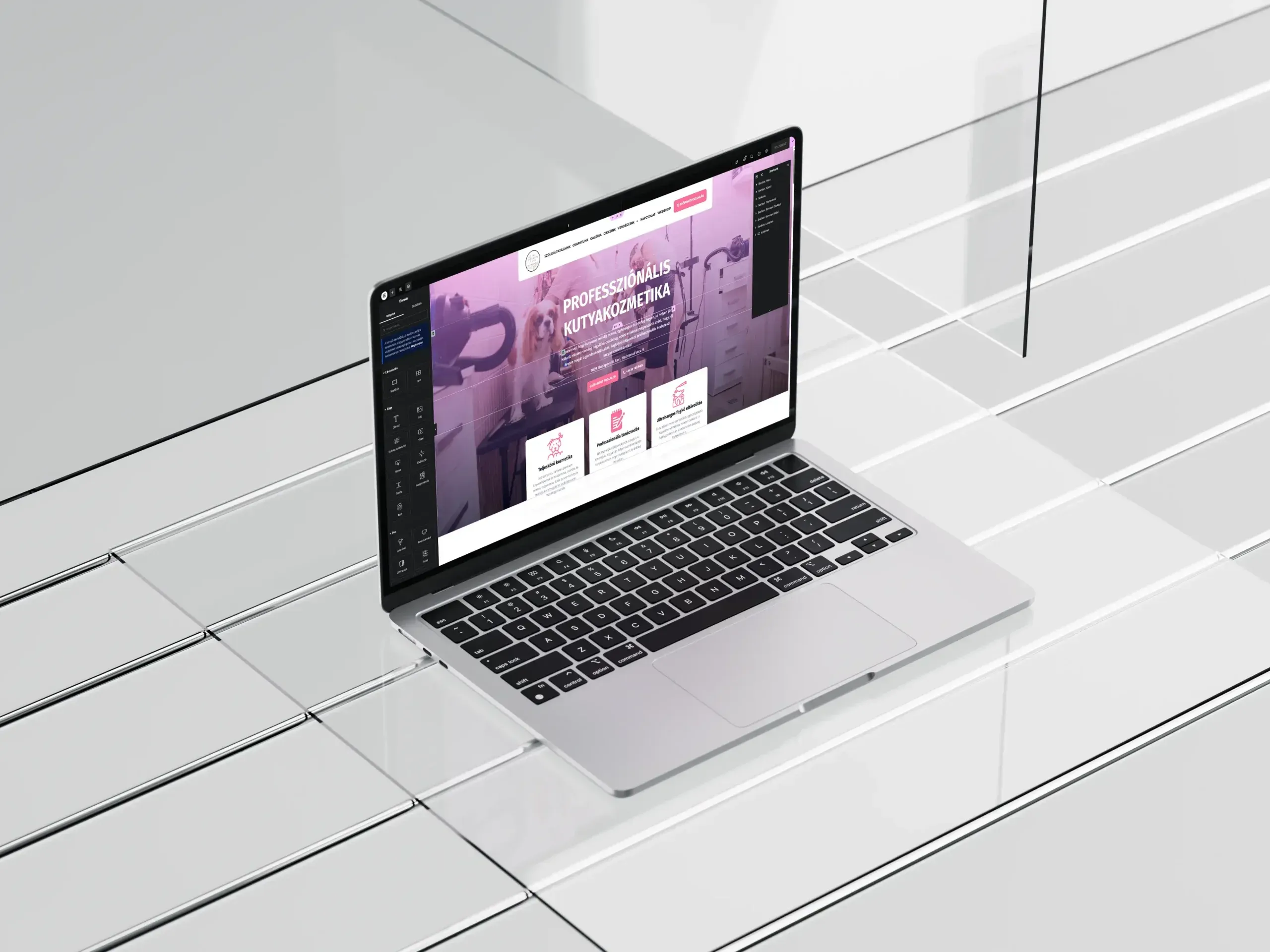 Weboldal és webshop készítés